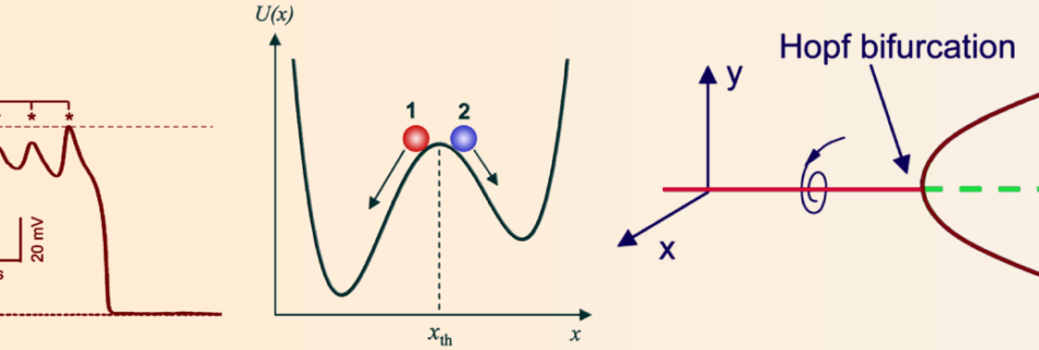 String Time Crystal » Heart Rhythms ~ Hopf Bifurcation in Cardiac Arrhythmias » trio